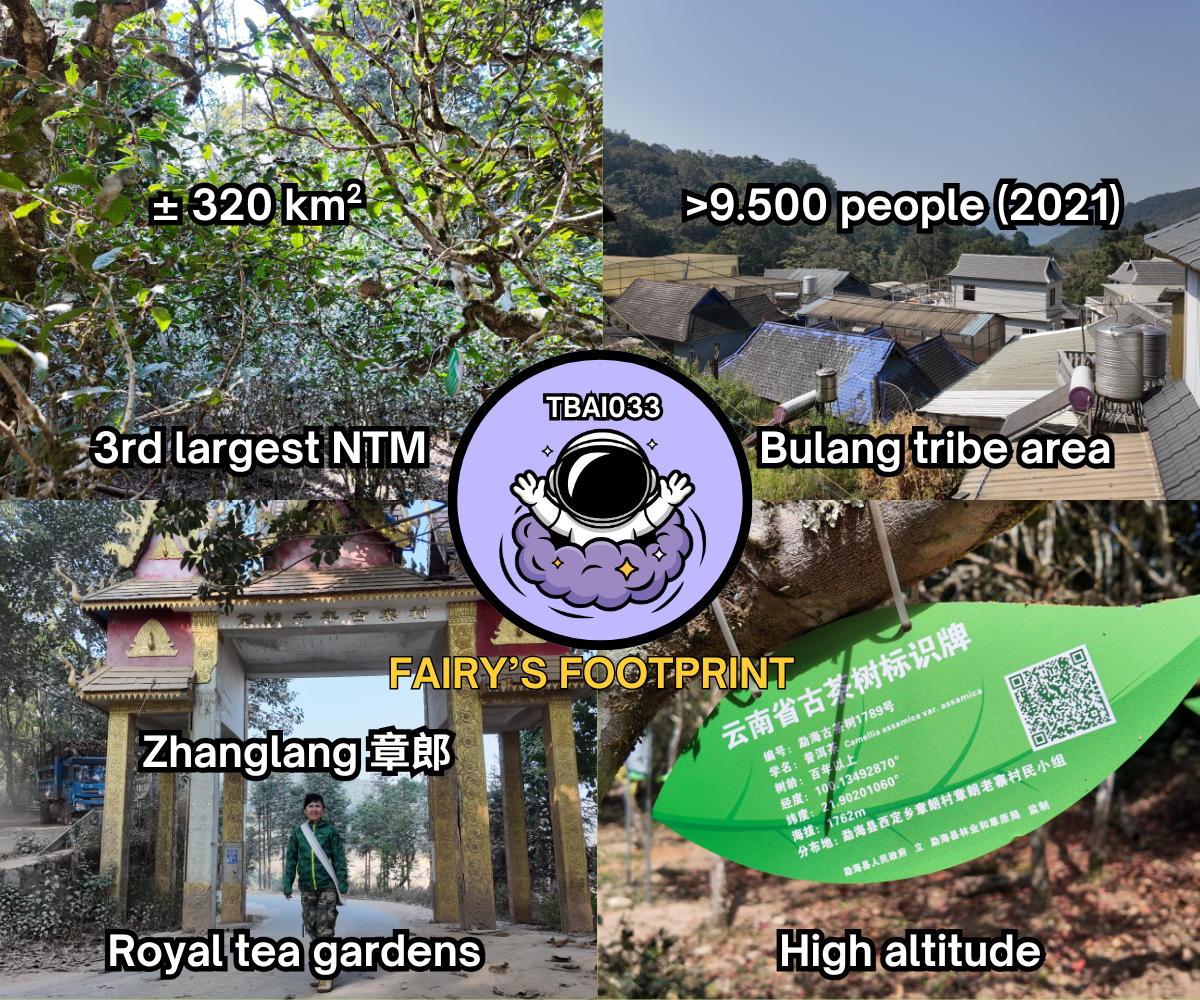 TBAI033 - Bada - Background - EN (2)